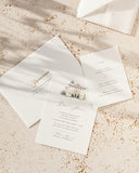 <font size="4">DREAM DAY</font>